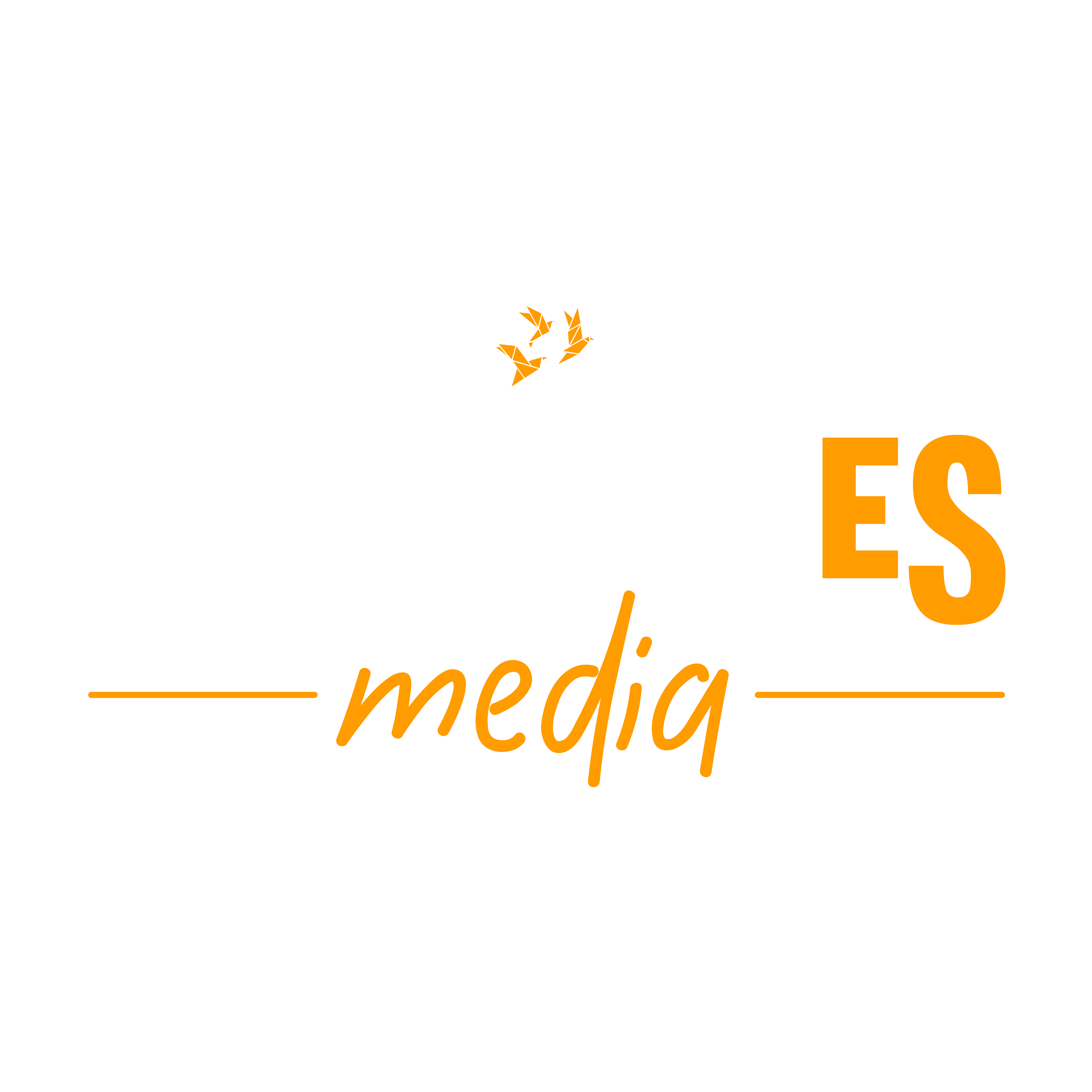 Festivales Media