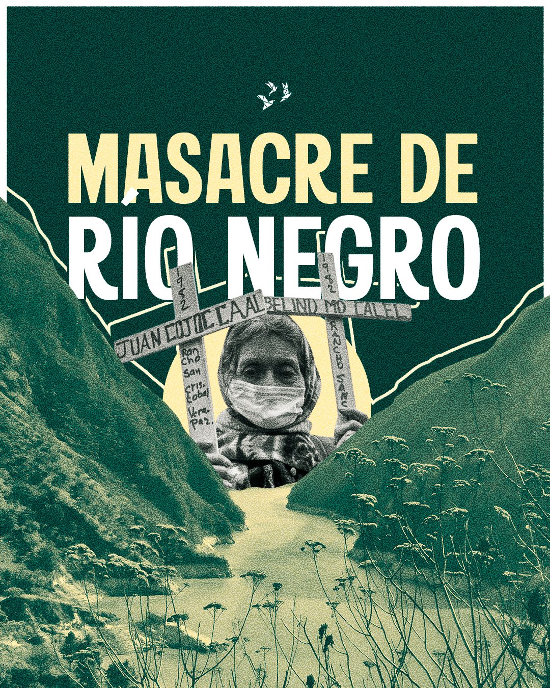 Río Negro